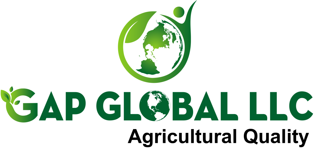 GAP GLOBAL LLC